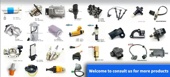 Top Quality Auto Part Ignition Coil for Byd G6 Byd Fast Sharp 1.5t Byd Song/Byd G6 New F3 Qin S6 Sirui G5 S7 Fast Sharp 1.5t 476 OEM: Foir00A065 