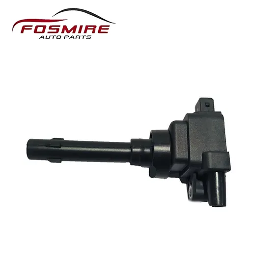 Car Spare Parts for Chery Tiggo/Arrizo3 F01r00A093/041 Ignition Coil 4G13 1.6 Auto Parts 