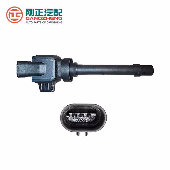 Car Auto Parts Ignition Coils for Dongfeng Fengguang 580 (F01R00A160)