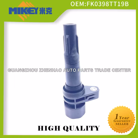 Wholesale Brand New Chinese Manufacturer Auto Part Ignition Coil for Byd F3r Vvl 473qb OEM: Fko398/Tt19b
