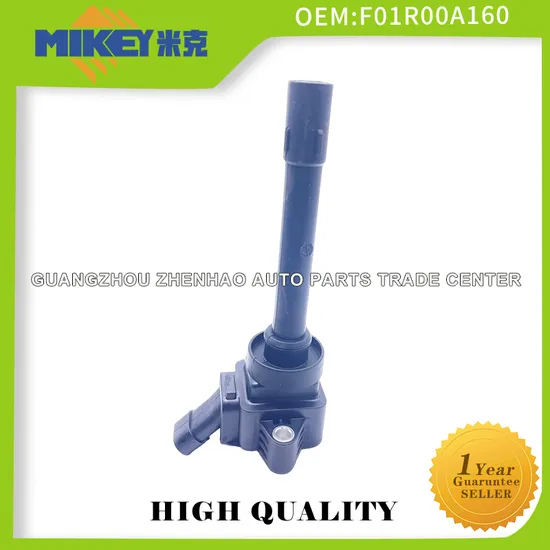 High Quality Auto Part Ignition Coil for Dfsk Glory 550, 1.5/580, 1.8/ National 6 Oemfoir00A160 
