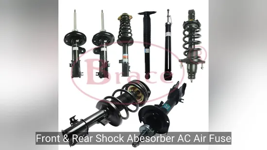 Brace Auto Parts Ignition Coil for Baic Weiwang 306 